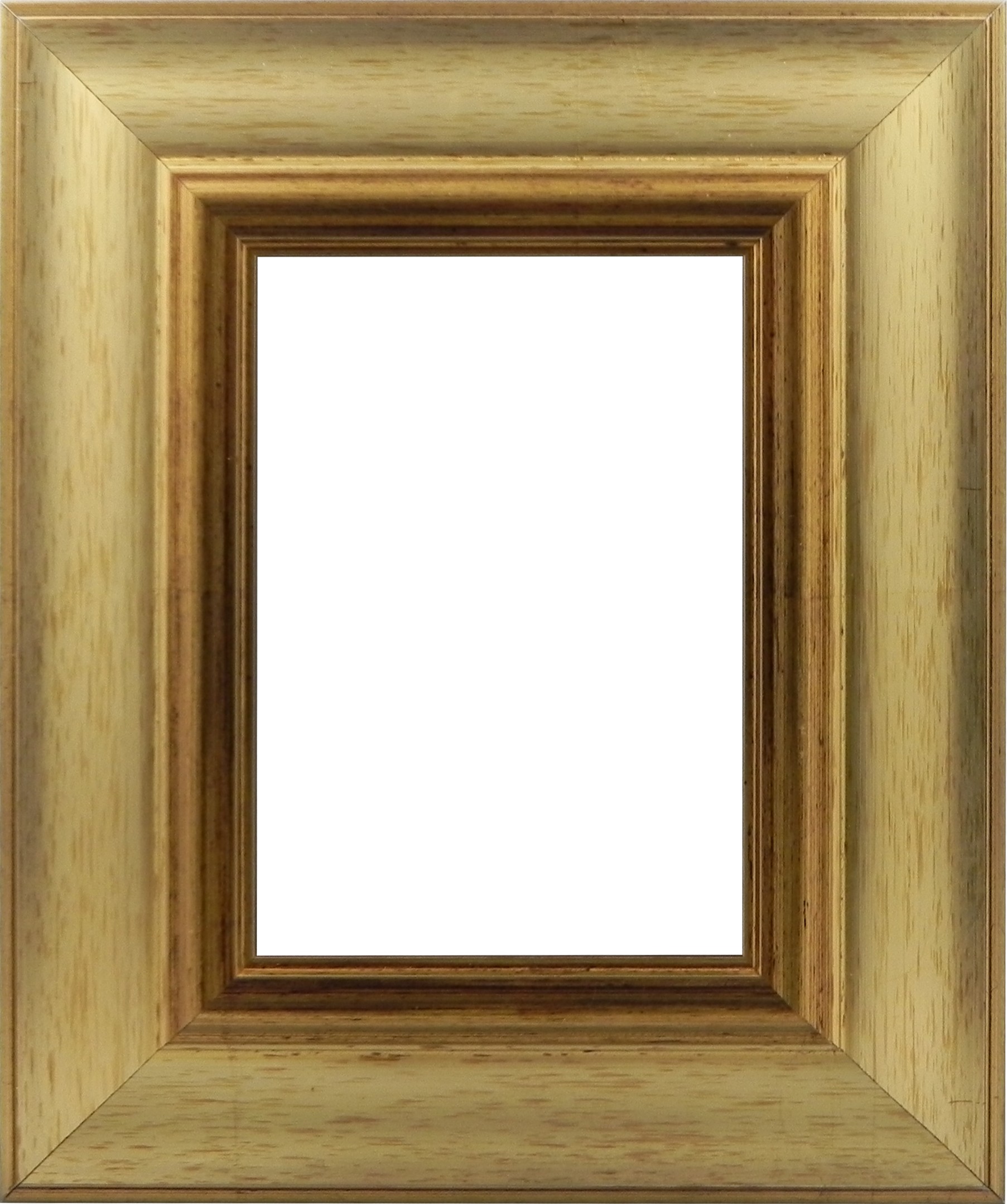 Picture Frame Modern Gold