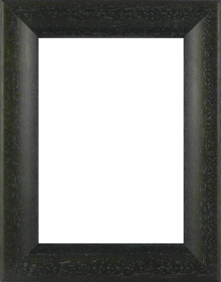Picture Frame - Bevel Washed Green