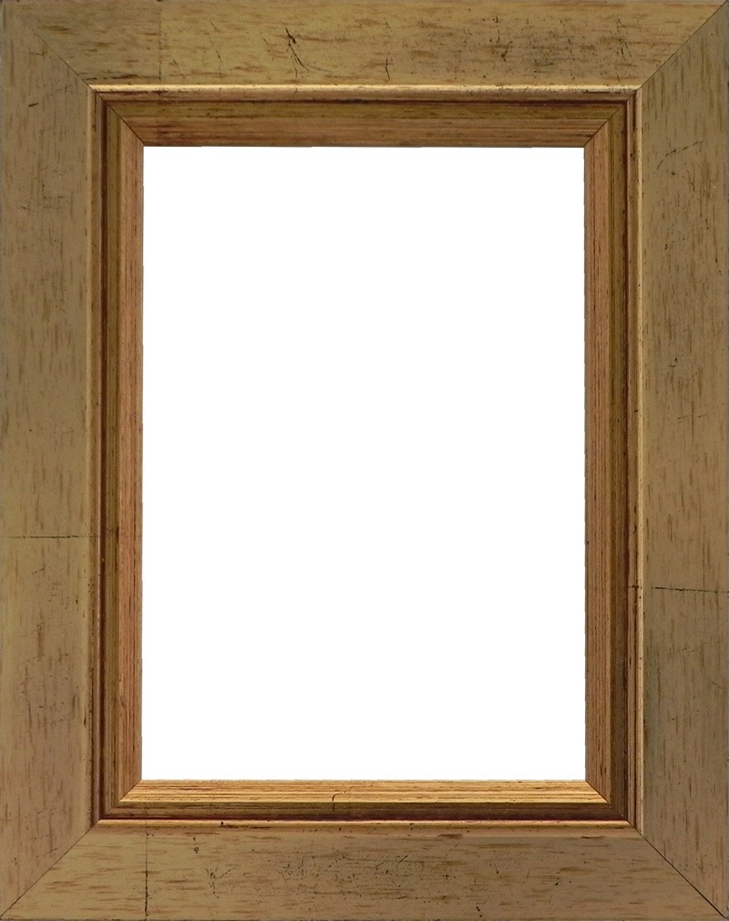 Picture Frame Rustic Antique Gold
