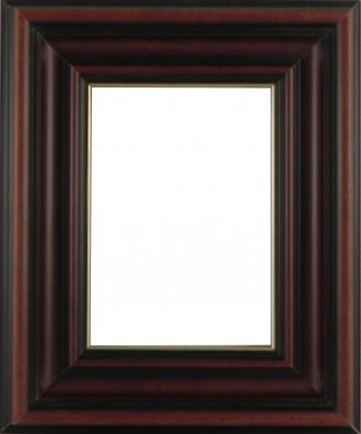 Picture Frame Dome Brown Gold Line