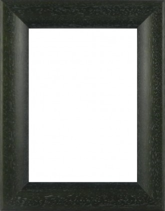 Picture Frame - Bevel Washed Green