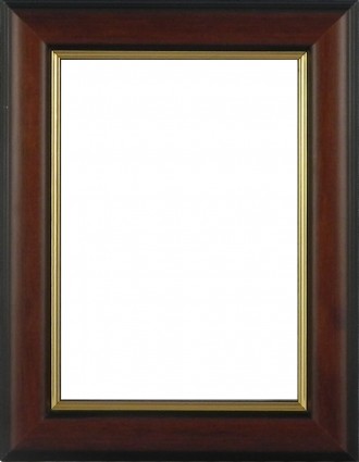 Picture Frame Dome Brown Medium Gold Line